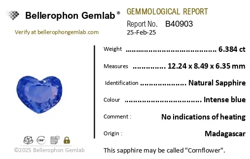 Blue Sapphire (Neelam) - 6.38 Carat