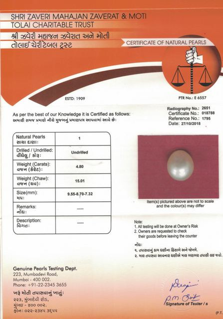 Basra Pearl - 4.80 Carat