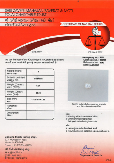 Basra Pearl - 6.31 Carat