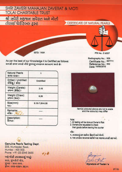 Basra Pearl - 3.1 Carat