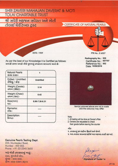 Basra Pearl - 3.14 Carat