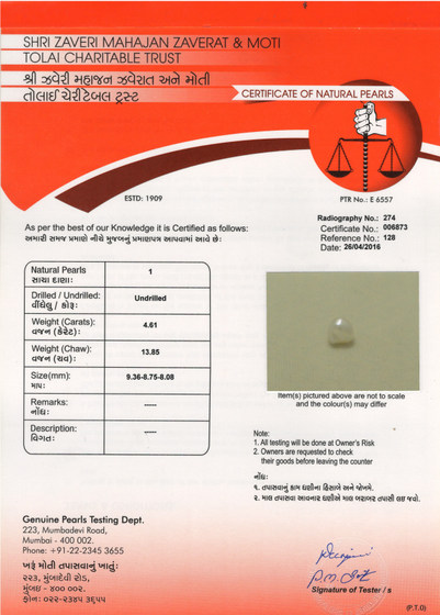 Basra Pearl - 4.61 Carat