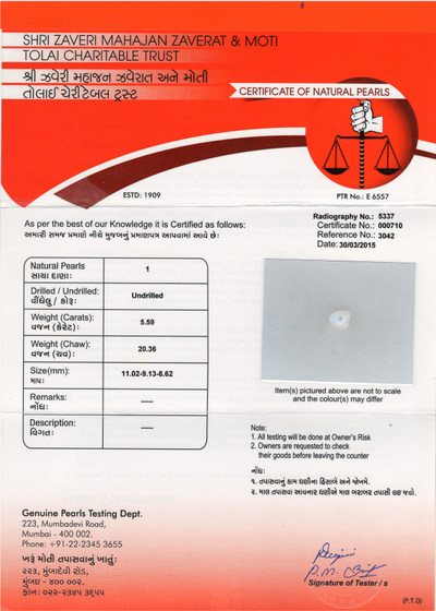 Basra Pearl - 5.59 Carat