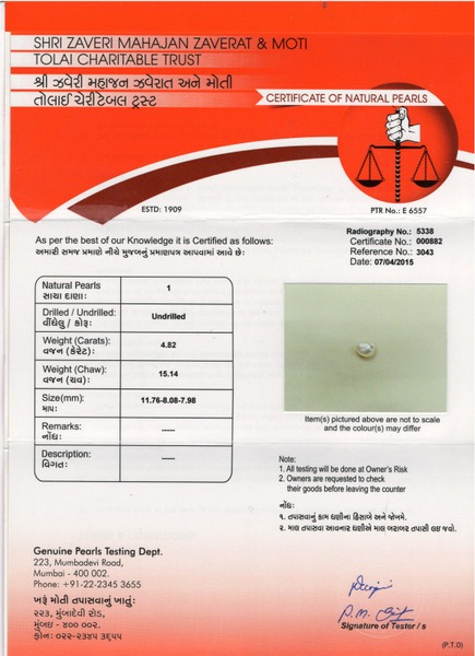 Basra Pearl - 4.82 Carat
