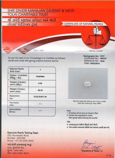Basra Pearl - 6.59 Carat