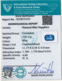Blue Sapphire - 3.83 Carat
