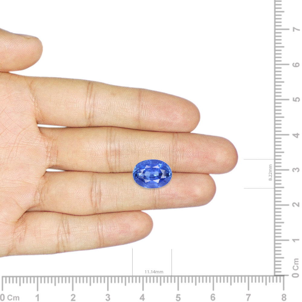 Blue Sapphire - 4.24 Carat
