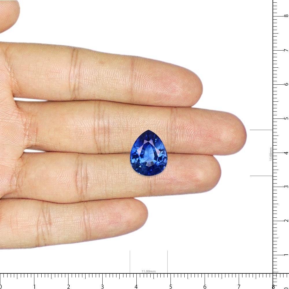 Blue Sapphire - 8.01 Carat