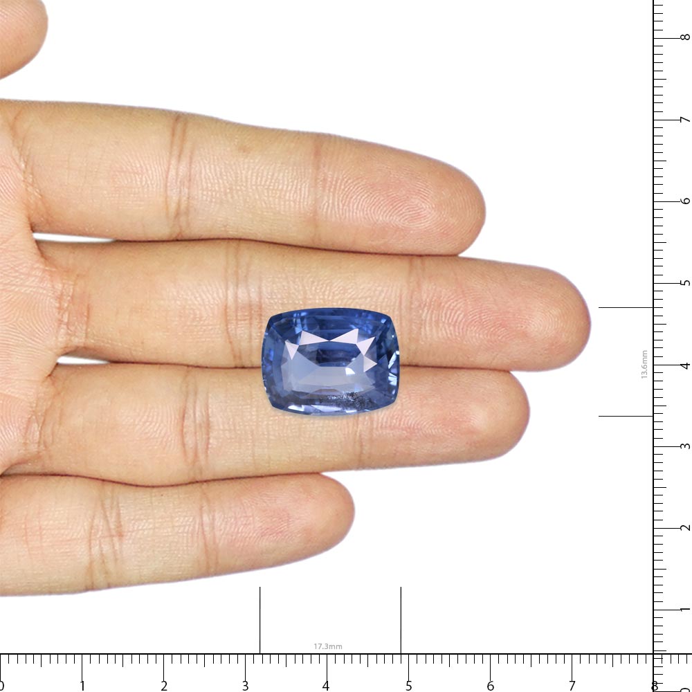 Blue Sapphire - 16.43 Carat