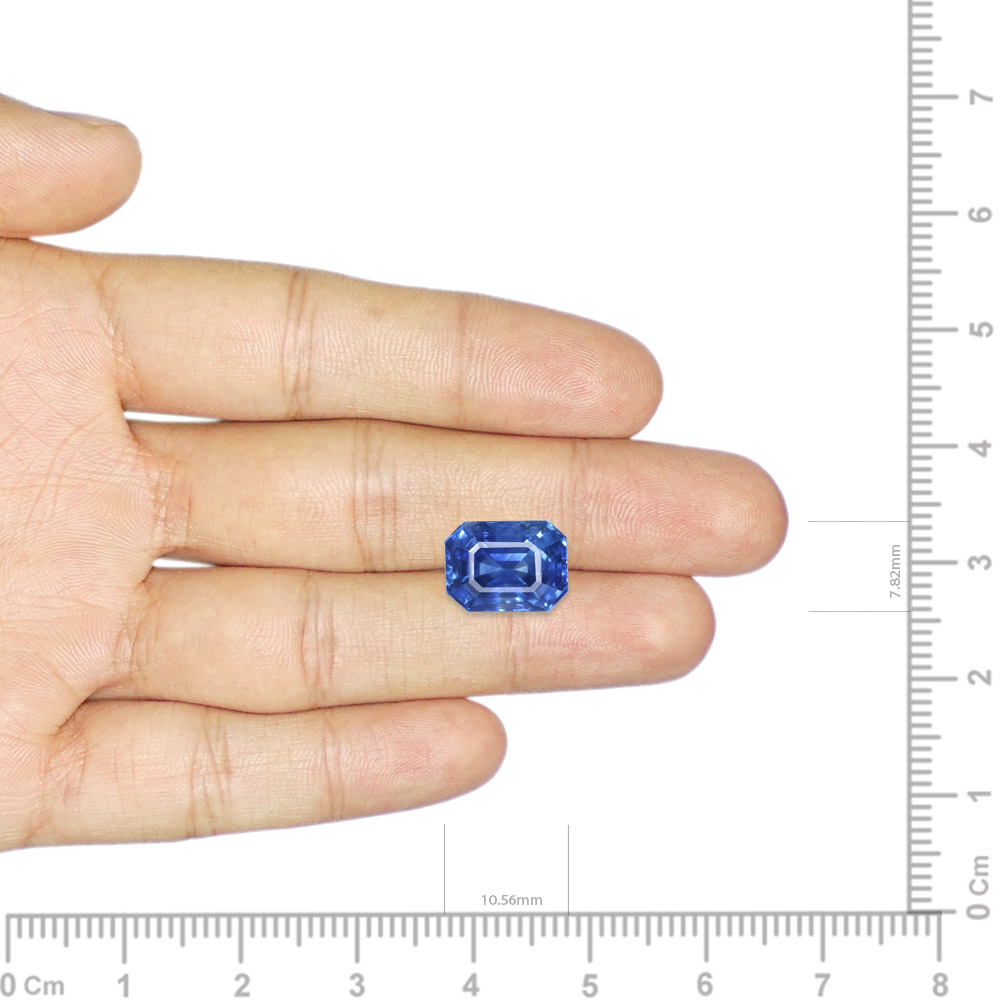 Blue Sapphire - 5.53 Carat