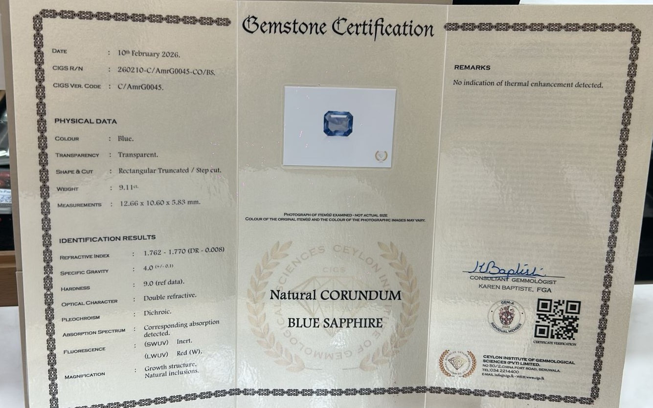 Blue Sapphire - 9.11 Carat