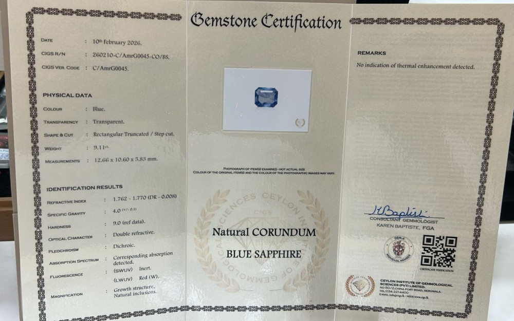 Blue Sapphire - 9.11 Carat