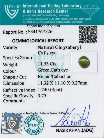 Cat's Eye Chrysoberyl - 11.53 Carat