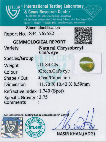 Cat's Eye Chrysoberyl - 11.84 Carat