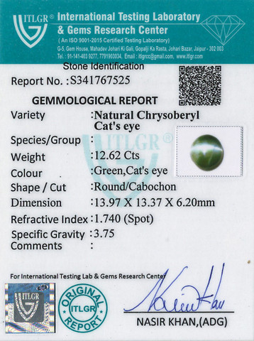 Cat's Eye Chrysoberyl - 12.62 Carat