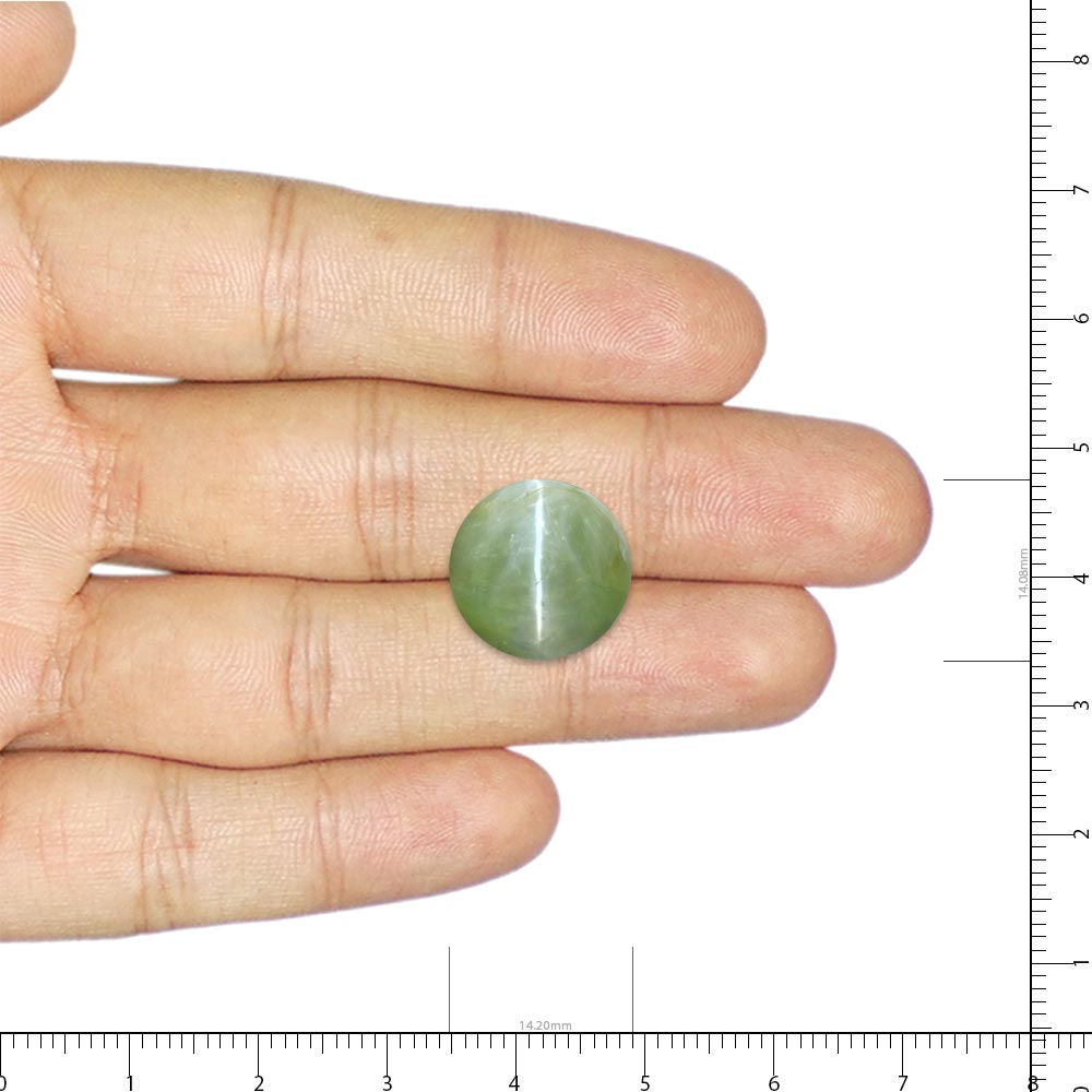 Cat's Eye Chrysoberyl - 13.05 Carat