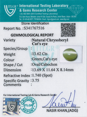 Cat's Eye Chrysoberyl - 13.62 Carat