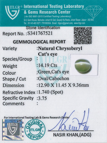 Cat's Eye Chrysoberyl - 14.19 Carat