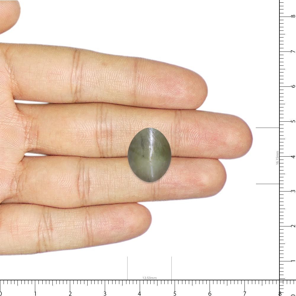 Cat's Eye Chrysoberyl - 18.11 Carat