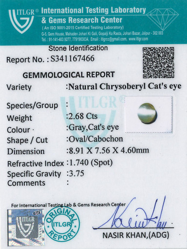 Cat's Eye Chrysoberyl - 2.68 Carat