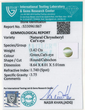 Cat's Eye Chrysoberyl - 3.42 Carat