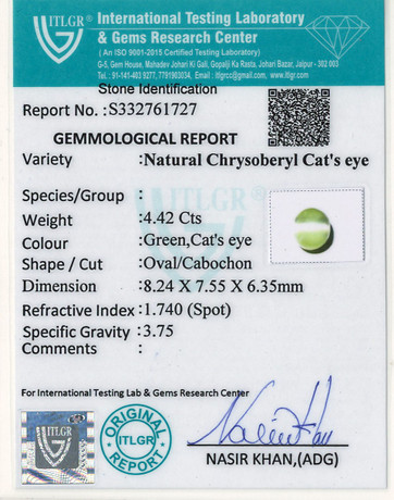 Cat's Eye Chrysoberyl - 4.42 Carat