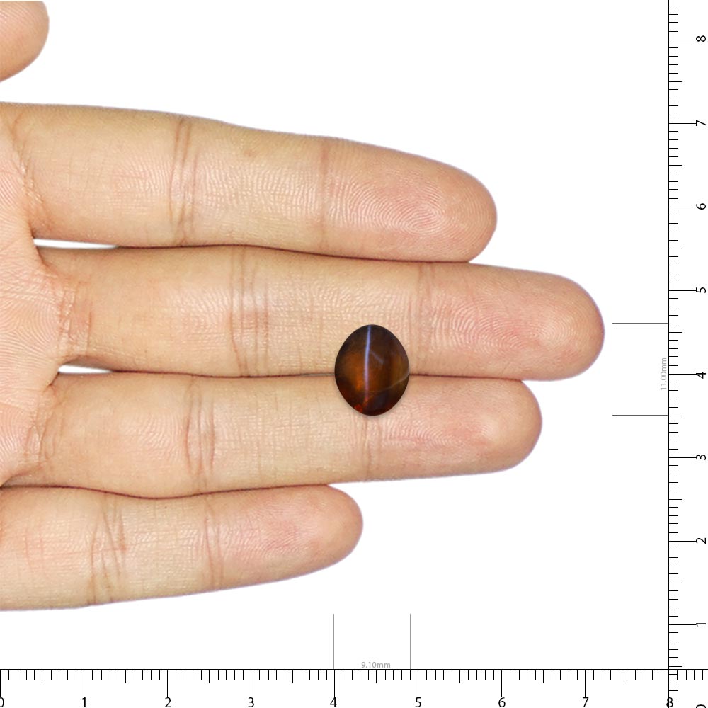 Cat's Eye Chrysoberyl - 6.72 Carat