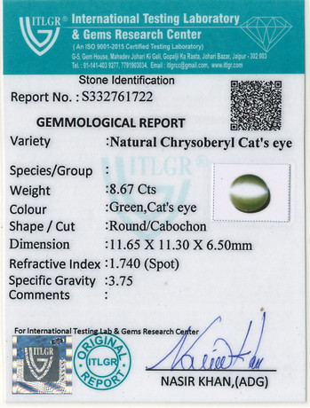 Cat's Eye Chrysoberyl - 8.67 Carat
