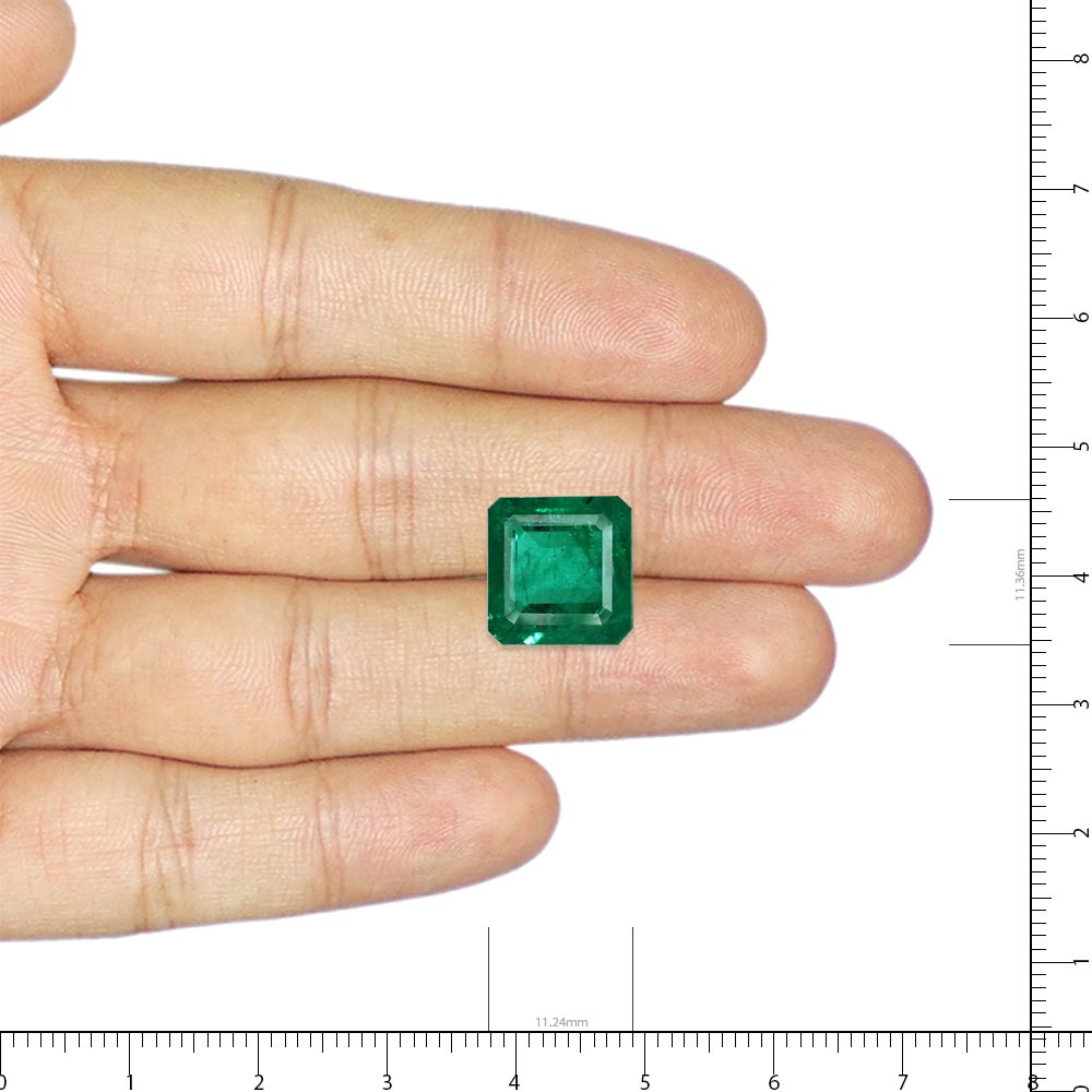 Emerald - 7.65 carat
