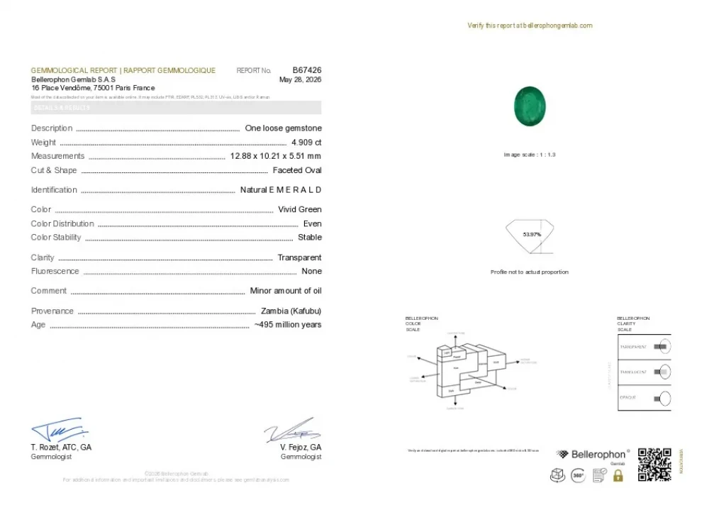 Emerald - 4.90 Carat