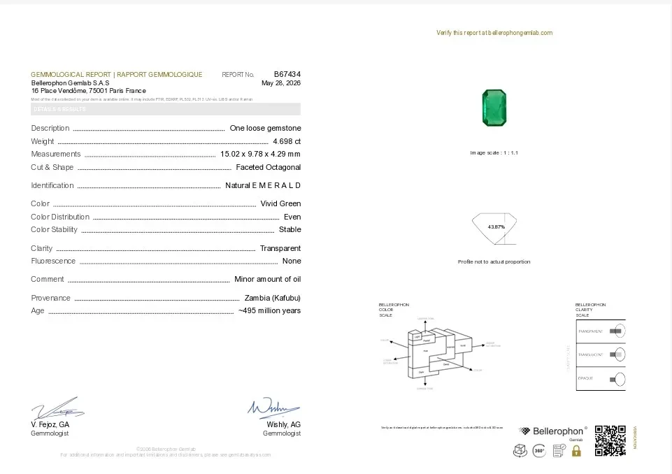 Emerald - 4.69 Carat