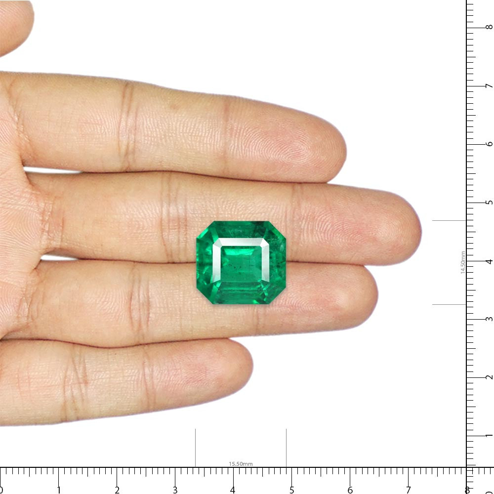 Vivid Green Minor Oil Emerald - 9.83 Carat