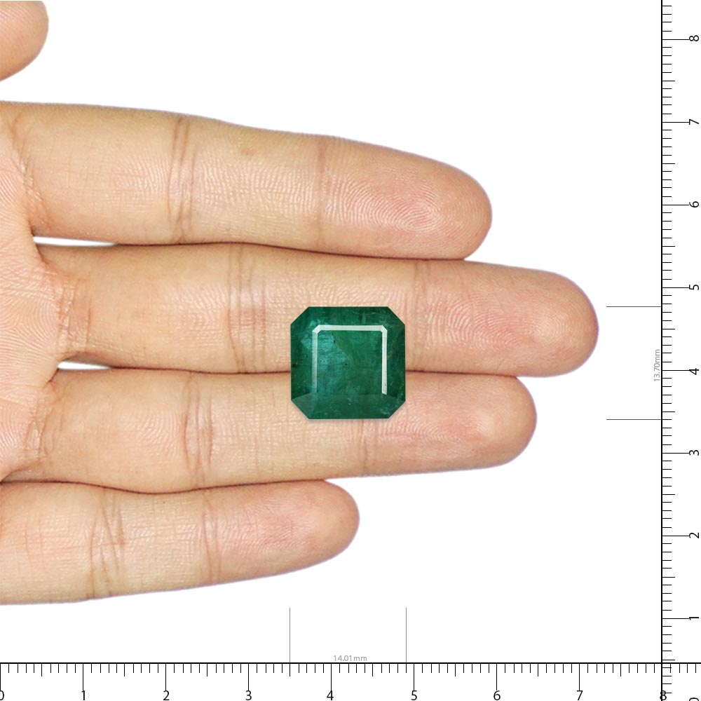 Emerald - 11.51 Carat