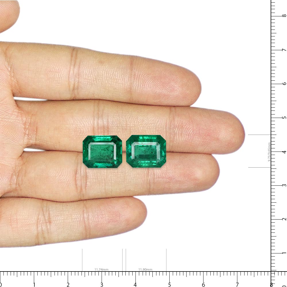 Emerald - 13.24 Carat