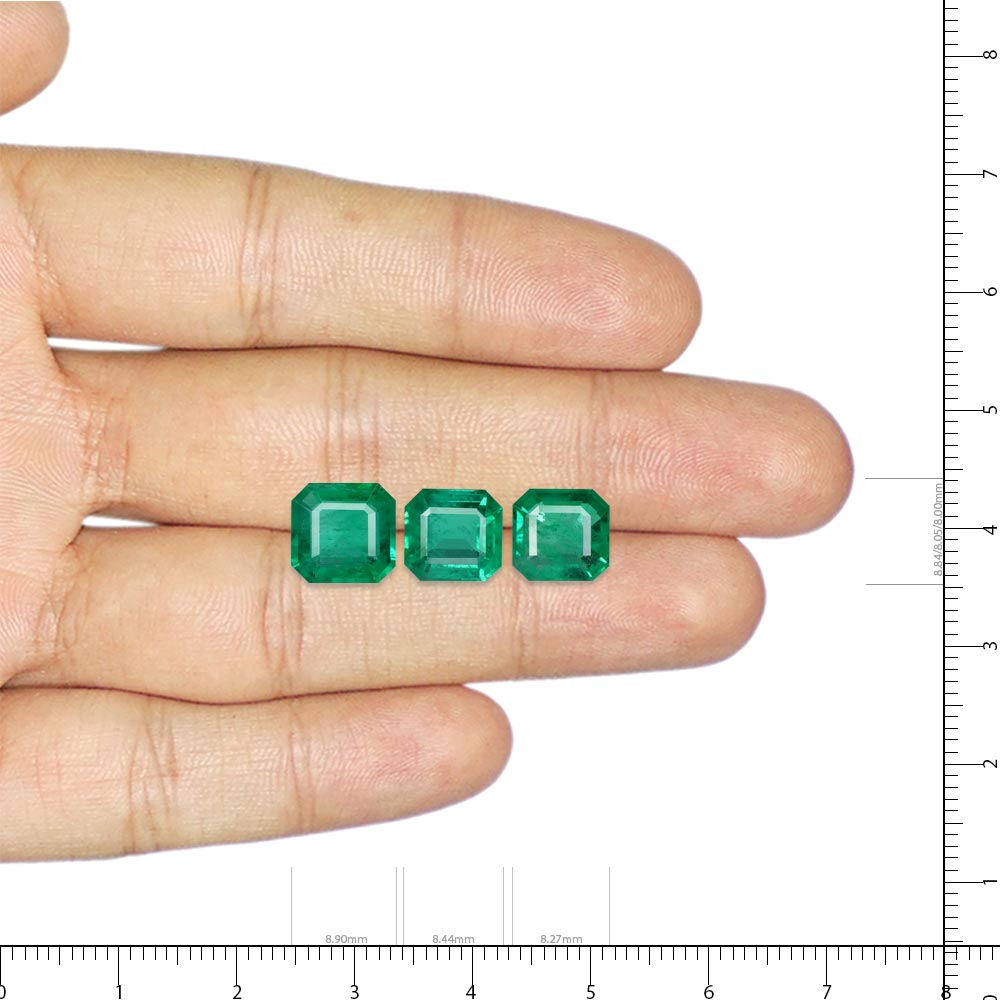 Emerald - 7.89 Carat