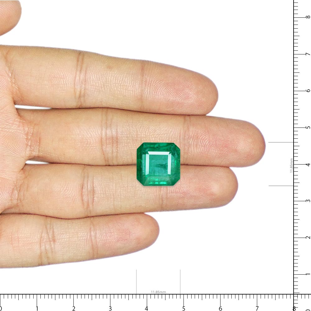 Emerald - 8.18 Carat