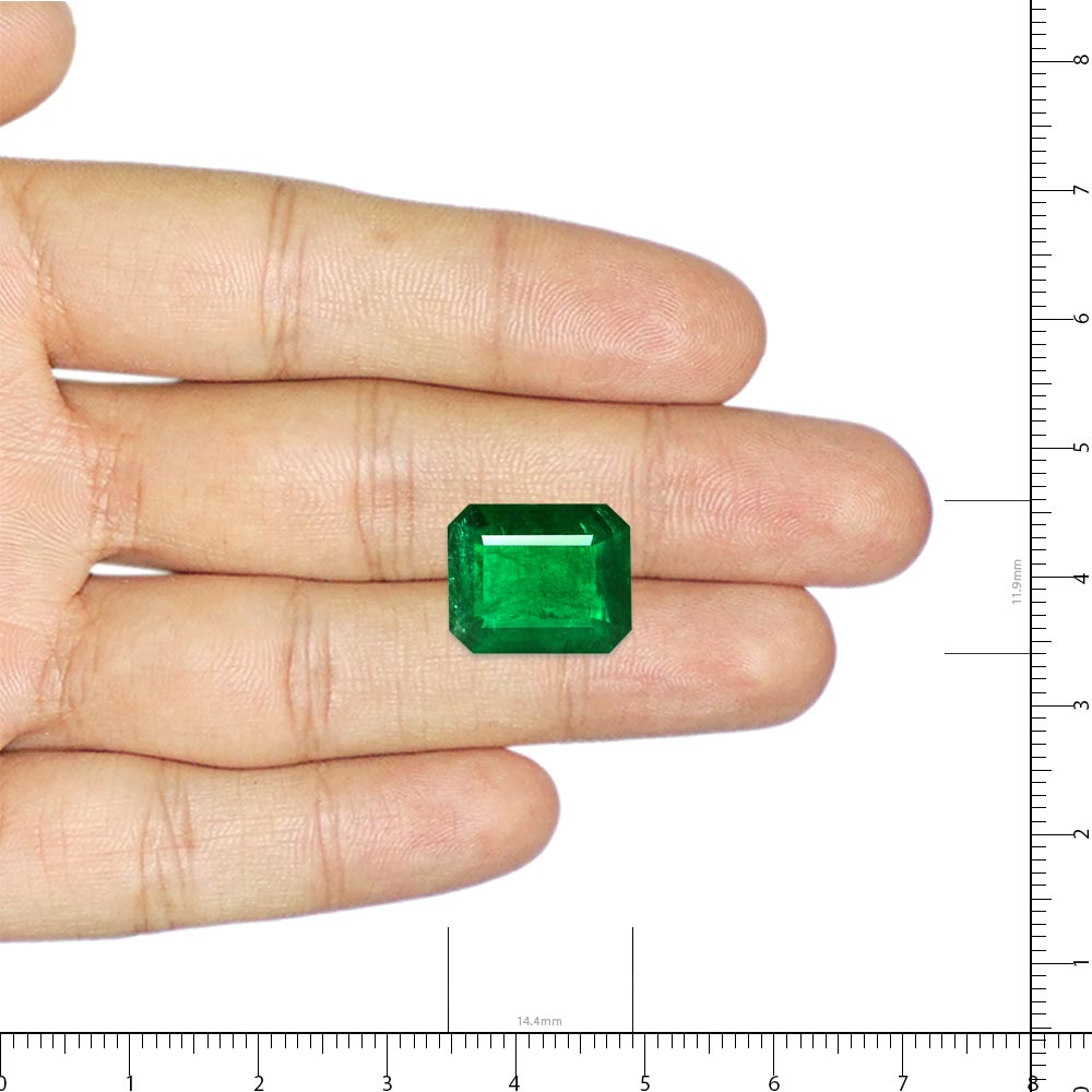 Emerald - 8.57 Carat