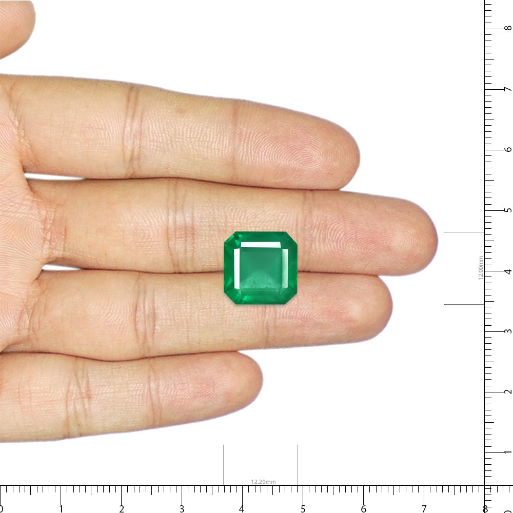 Emerald - 8.86 Carat