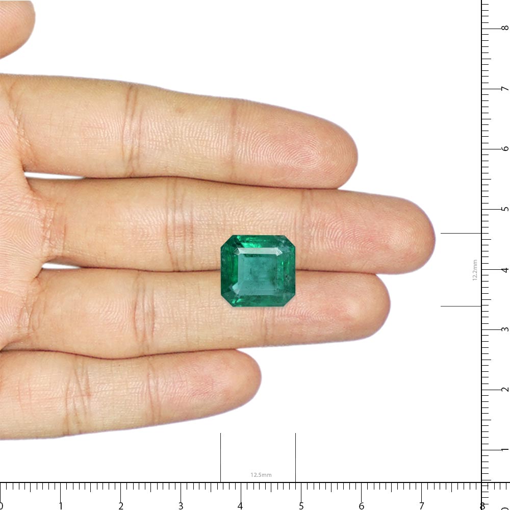 Emerald - 9.12 Carat