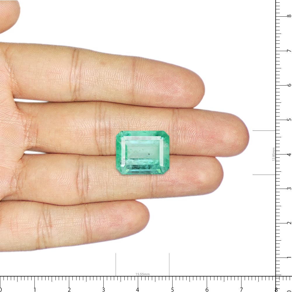 Emerald Colombia - 15.66 Carat