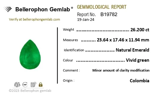 Emerald (Panna) - 26.19 Carat