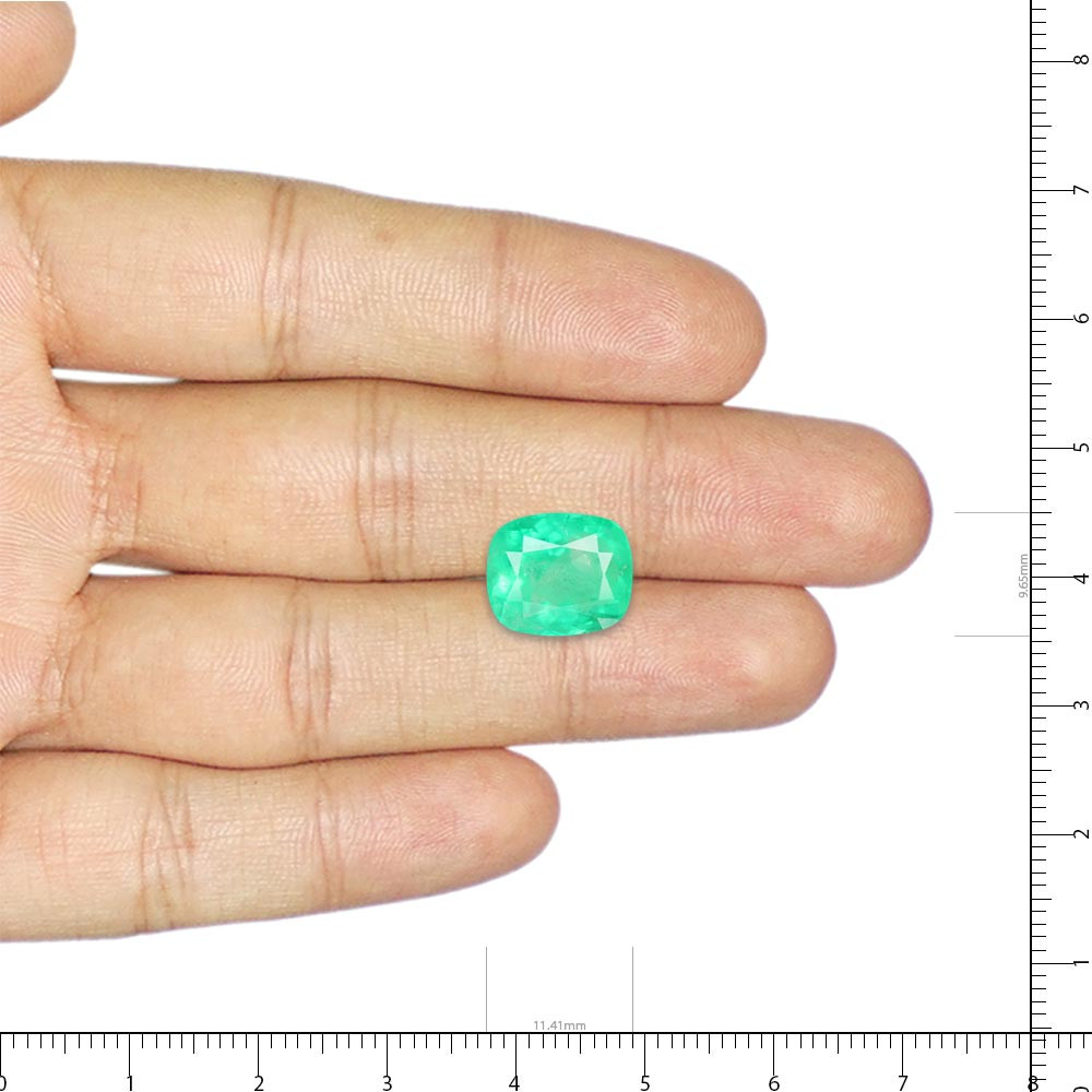 Emerald (Panna) - 4.9 Carat