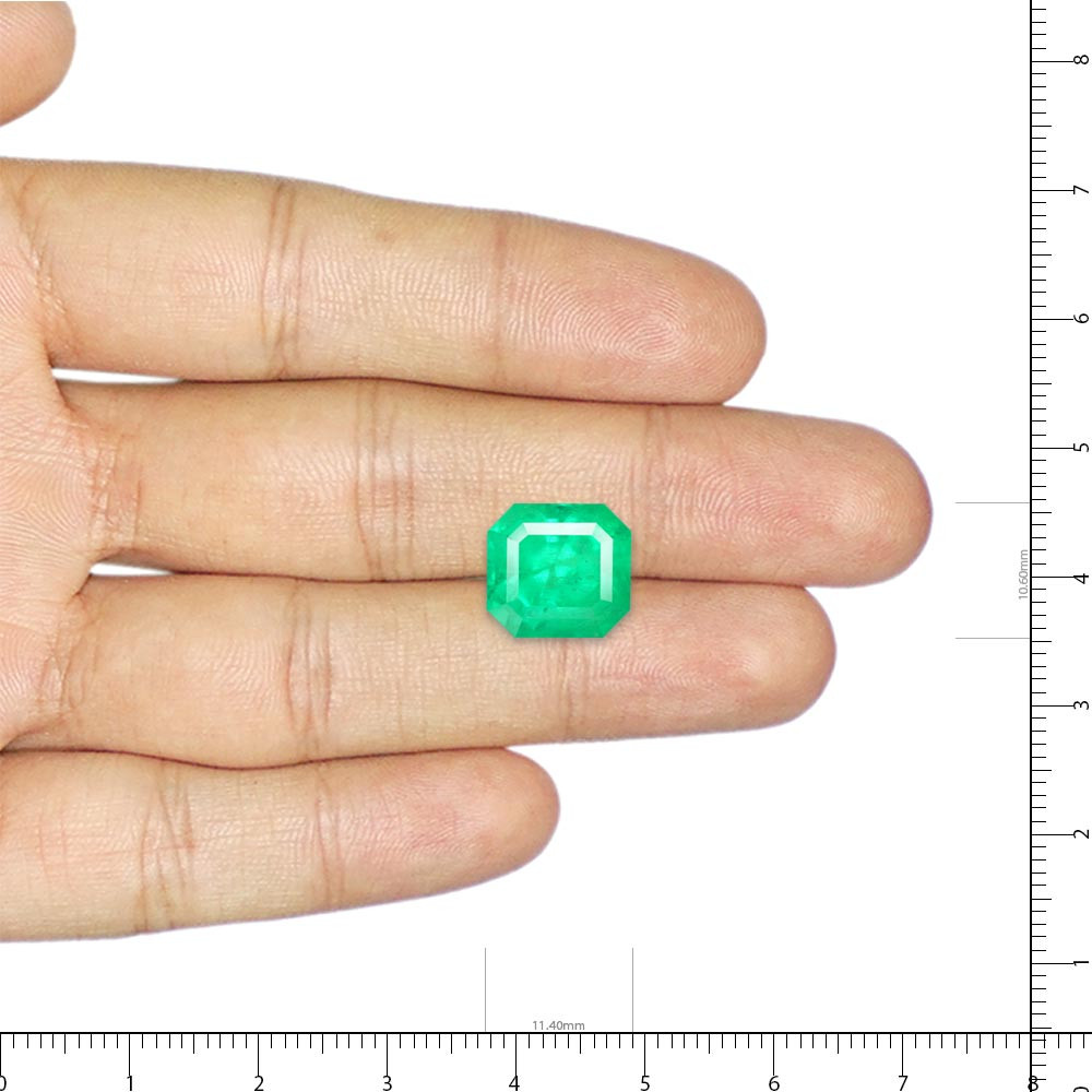 Emerald (Panna) - 6.68 Carat