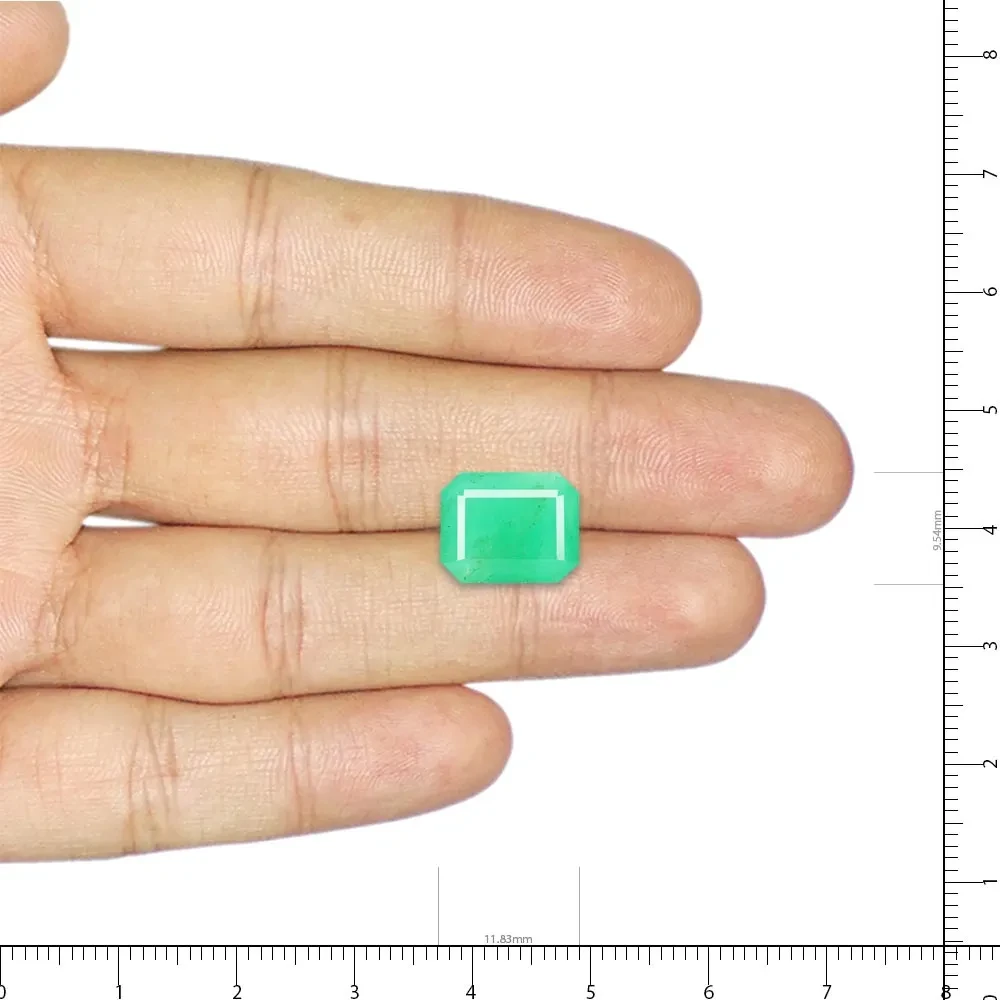 Emerald (Panna) - 6.72 Carat