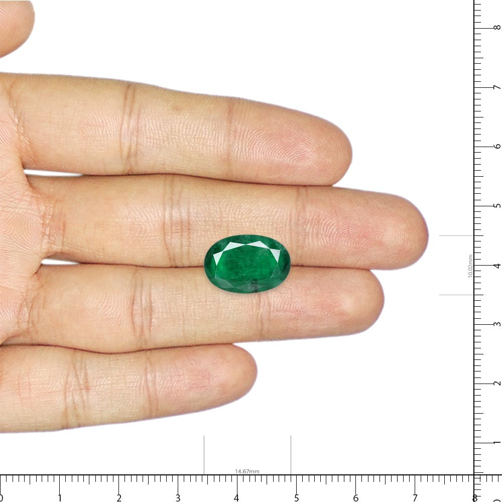 Emerald (Panna) - 6.72 Carat