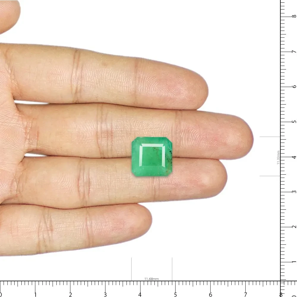 Emerald (Panna) - 7.84 Carat