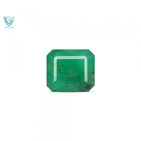 Emerald (Panna) - 8.63 Carat