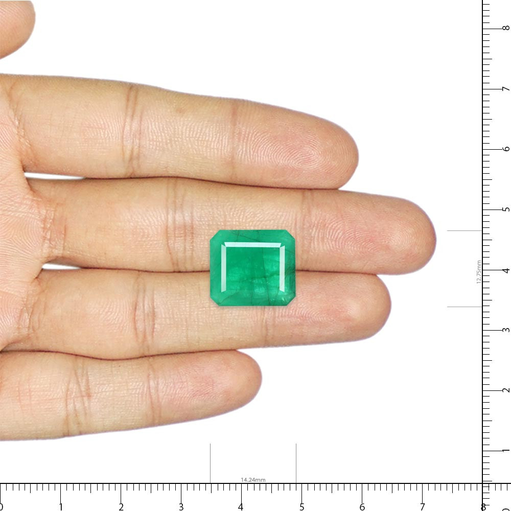 Emerald (Panna) - 9.77 Carat