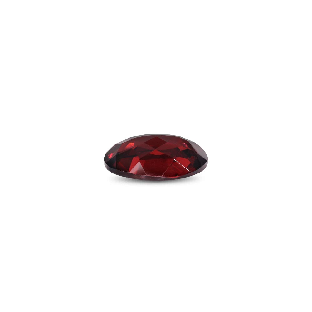 Garnet - 4.91 Carat