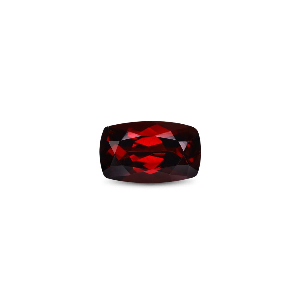 Garnet - 5.79 Carat